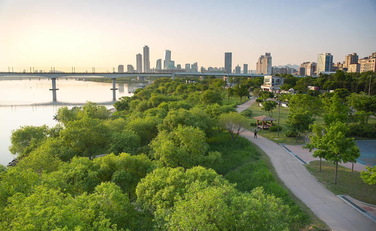 힐링라이프의 공세권